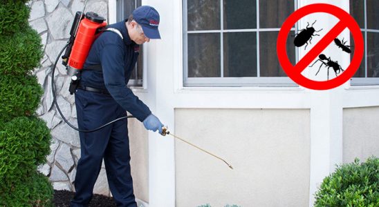 Eflani Fare İlaçlama böcek ilaçlama ve haşere kontrolü — ilaclama-tr.com